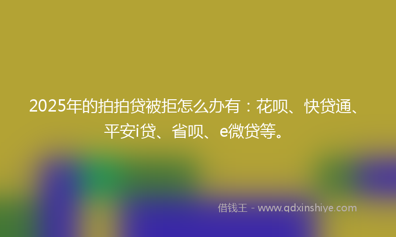 2025年的拍拍贷被拒怎么办有：花呗、快贷通、平安i贷、省呗、e微贷等。