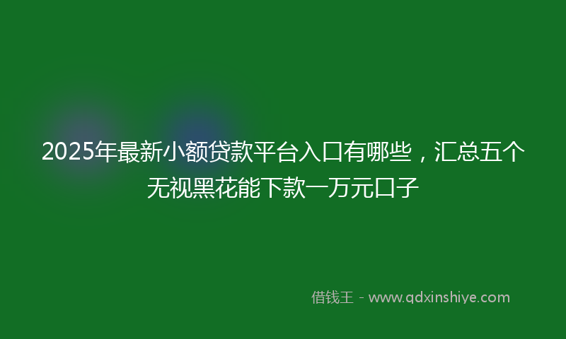 2025年最新小额贷款平台入口有哪些，汇总五个无视黑花能下款一万元口子