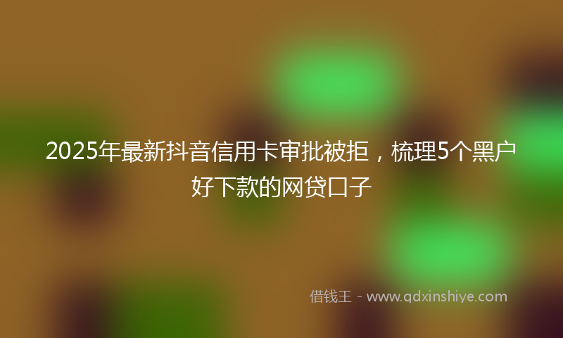 2025年最新抖音信用卡审批被拒，梳理5个黑户好下款的网贷口子