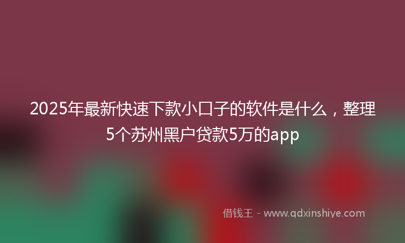 2025年最新快速下款小口子的软件是什么，整理5个苏州黑户贷款5万的app