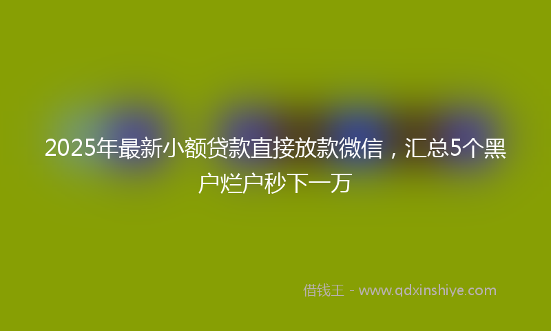 2025年最新小额贷款直接放款微信，汇总5个黑户烂户秒下一万