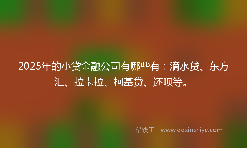 2025年的小贷金融公司有哪些有：滴水贷、东方汇、拉卡拉、柯基贷、还呗等。