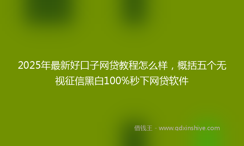 2025年最新好口子网贷教程怎么样，概括五个无视征信黑白100%秒下网贷软件