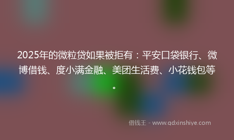 2025年的微粒贷如果被拒有：平安口袋银行、微博借钱、度小满金融、美团生活费、小花钱包等。