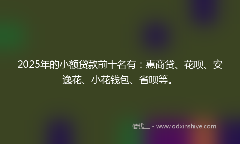 2025年的小额贷款前十名有：惠商贷、花呗、安逸花、小花钱包、省呗等。