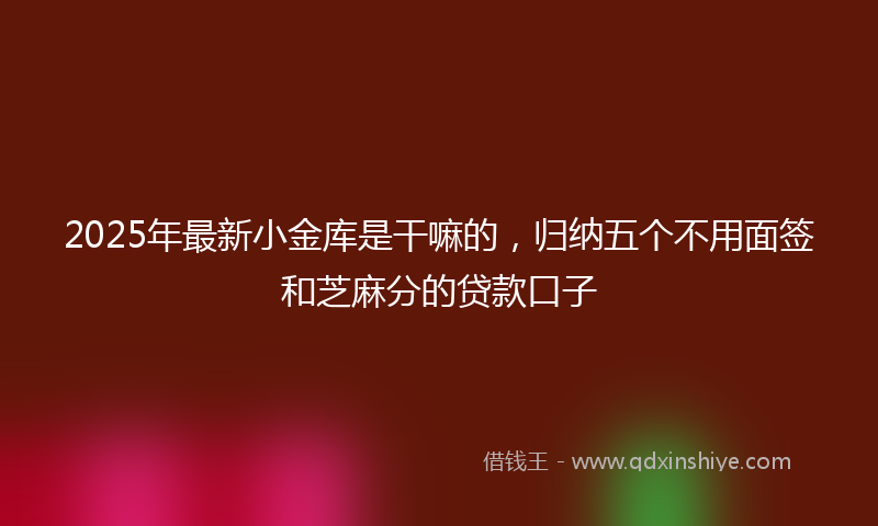 2025年最新小金库是干嘛的，归纳五个不用面签和芝麻分的贷款口子