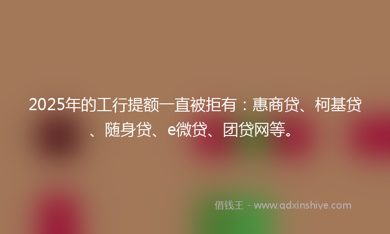 2025年的工行提额一直被拒有：惠商贷、柯基贷、随身贷、e微贷、团贷网等。