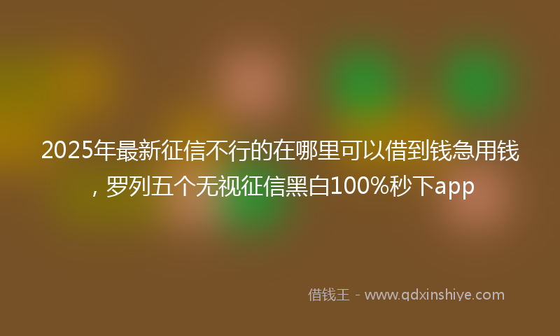 2025年最新征信不行的在哪里可以借到钱急用钱，罗列五个无视征信黑白100%秒下app