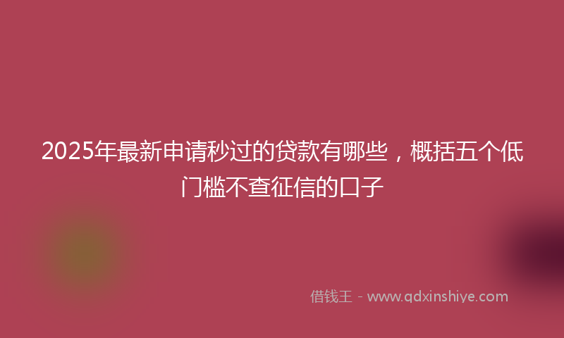 2025年最新申请秒过的贷款有哪些，概括五个低门槛不查征信的口子