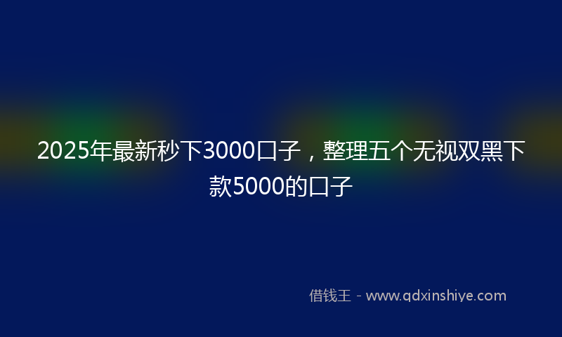 2025年最新秒下3000口子，整理五个无视双黑下款5000的口子