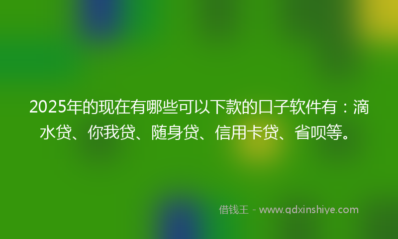 2025年的现在有哪些可以下款的口子软件有：滴水贷、你我贷、随身贷、信用卡贷、省呗等。