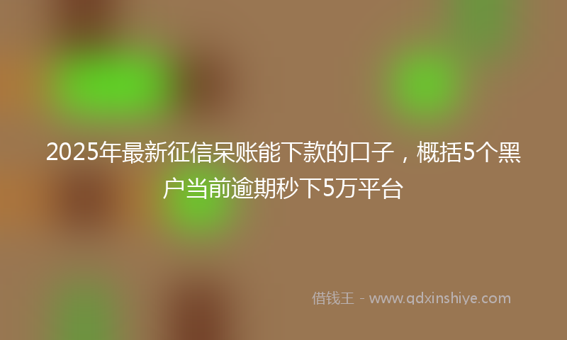 2025年最新征信呆账能下款的口子，概括5个黑户当前逾期秒下5万平台