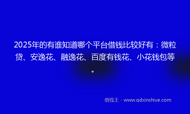 2025年的有谁知道哪个平台借钱比较好有：微粒贷、安逸花、融逸花、百度有钱花、小花钱包等。