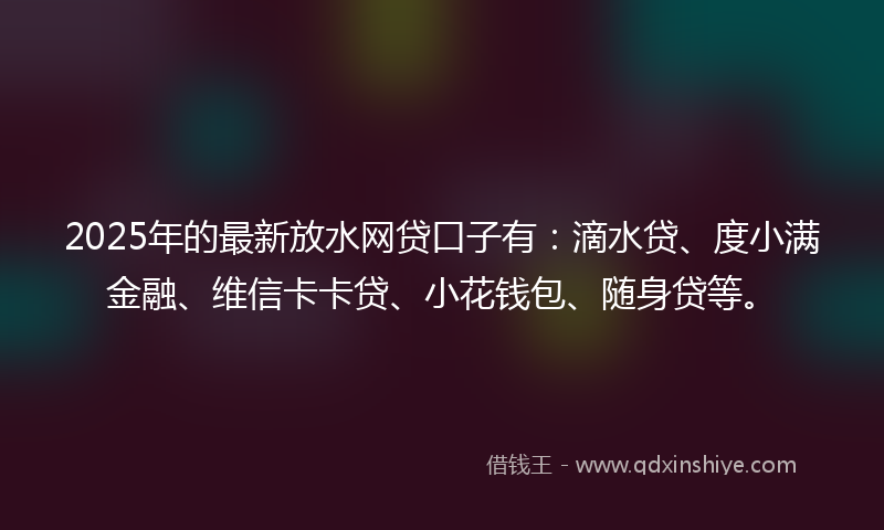 2025年的最新放水网贷口子有：滴水贷、度小满金融、维信卡卡贷、小花钱包、随身贷等。