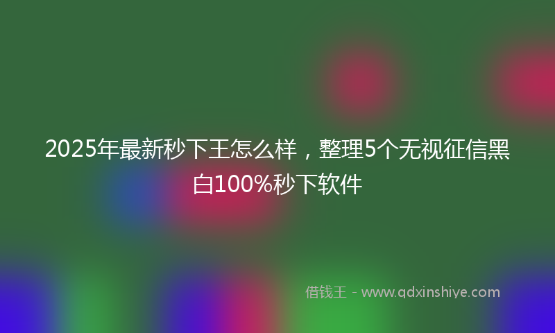 2025年最新秒下王怎么样，整理5个无视征信黑白100%秒下软件