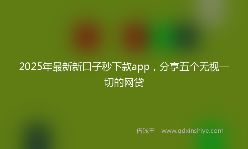 2025年最新新口子秒下款app，分享五个无视一切的网贷
