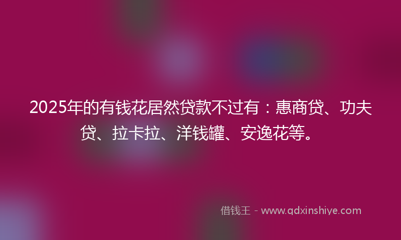2025年的有钱花居然贷款不过有：惠商贷、功夫贷、拉卡拉、洋钱罐、安逸花等。