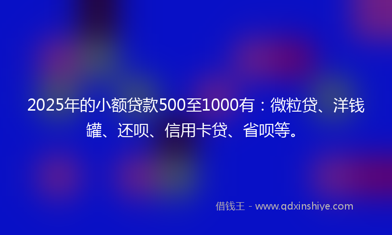2025年的小额贷款500至1000有：微粒贷、洋钱罐、还呗、信用卡贷、省呗等。