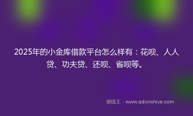 2025年的小金库借款平台怎么样有：花呗、人人贷、功夫贷、还呗、省呗等。