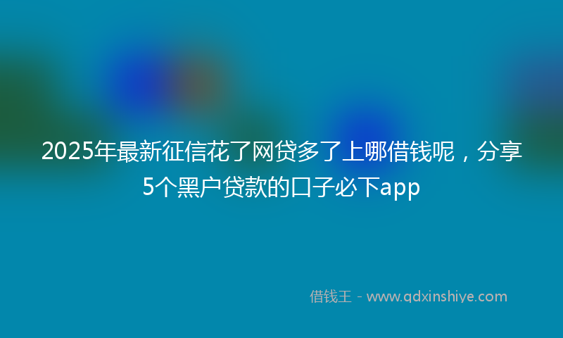 2025年最新征信花了网贷多了上哪借钱呢，分享5个黑户贷款的口子必下app