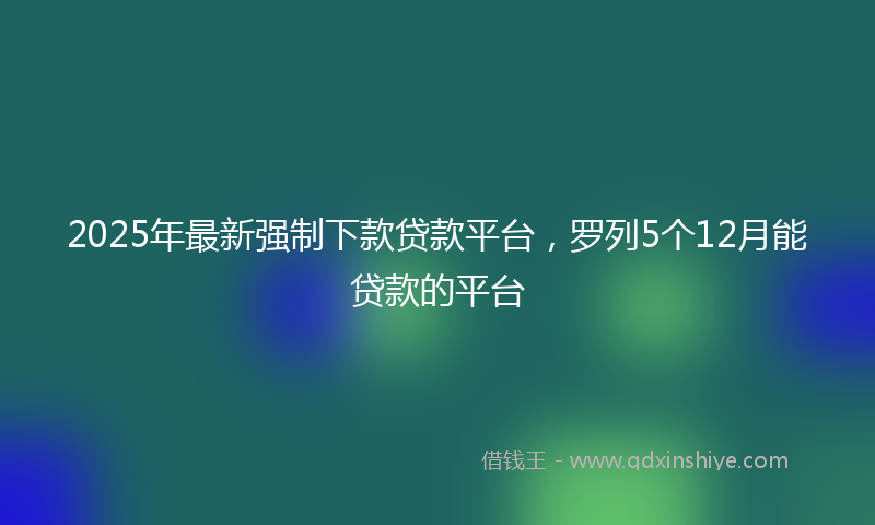 2025年最新强制下款贷款平台，罗列5个12月能贷款的平台