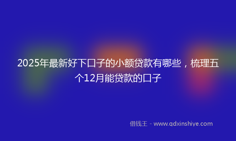 2025年最新好下口子的小额贷款有哪些，梳理五个12月能贷款的口子