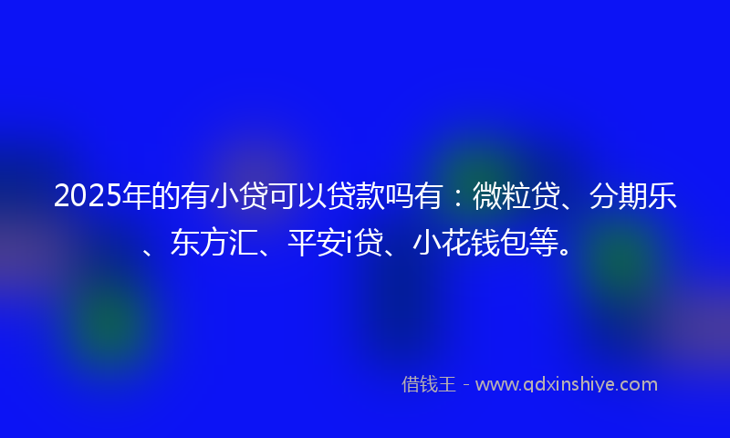 2025年的有小贷可以贷款吗有：微粒贷、分期乐、东方汇、平安i贷、小花钱包等。