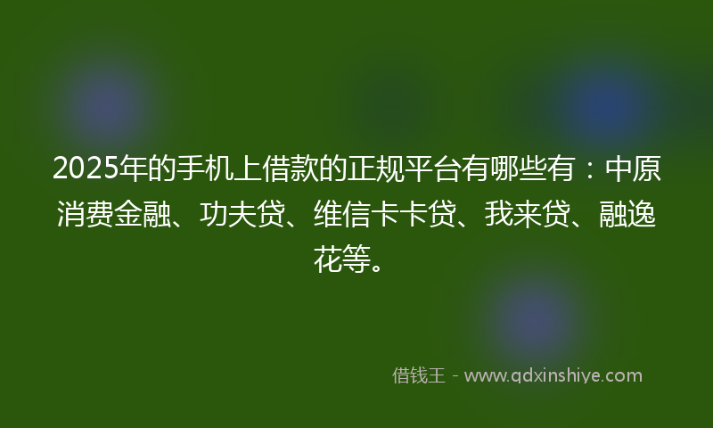 2025年的手机上借款的正规平台有哪些有：中原消费金融、功夫贷、维信卡卡贷、我来贷、融逸花等。