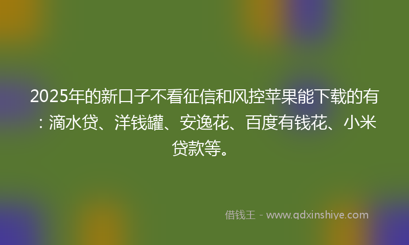 2025年的新口子不看征信和风控苹果能下载的有：滴水贷、洋钱罐、安逸花、百度有钱花、小米贷款等。