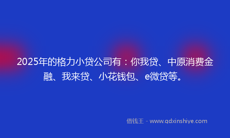 2025年的格力小贷公司有：你我贷、中原消费金融、我来贷、小花钱包、e微贷等。