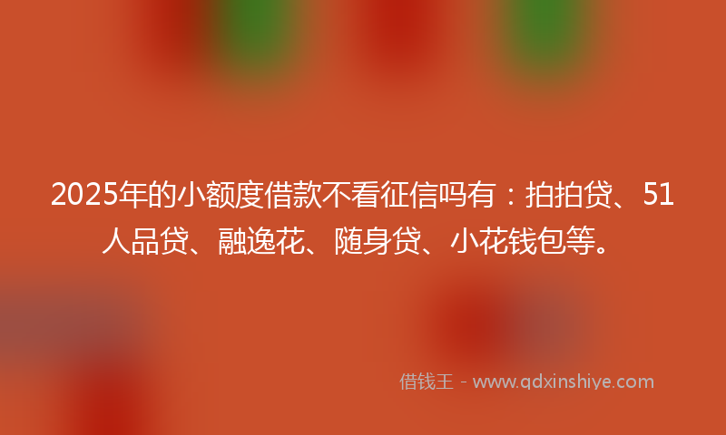 2025年的小额度借款不看征信吗有：拍拍贷、51人品贷、融逸花、随身贷、小花钱包等。