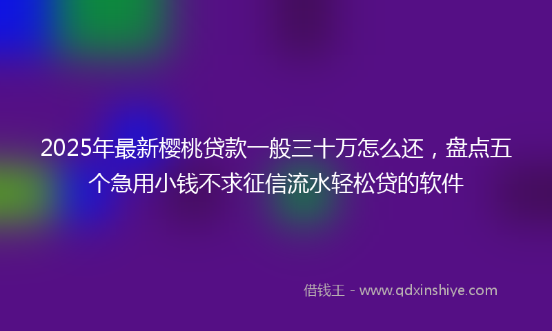 2025年最新樱桃贷款一般三十万怎么还，盘点五个急用小钱不求征信流水轻松贷的软件