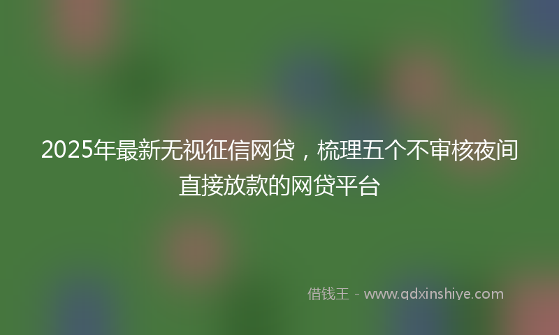 2025年最新无视征信网贷，梳理五个不审核夜间直接放款的网贷平台