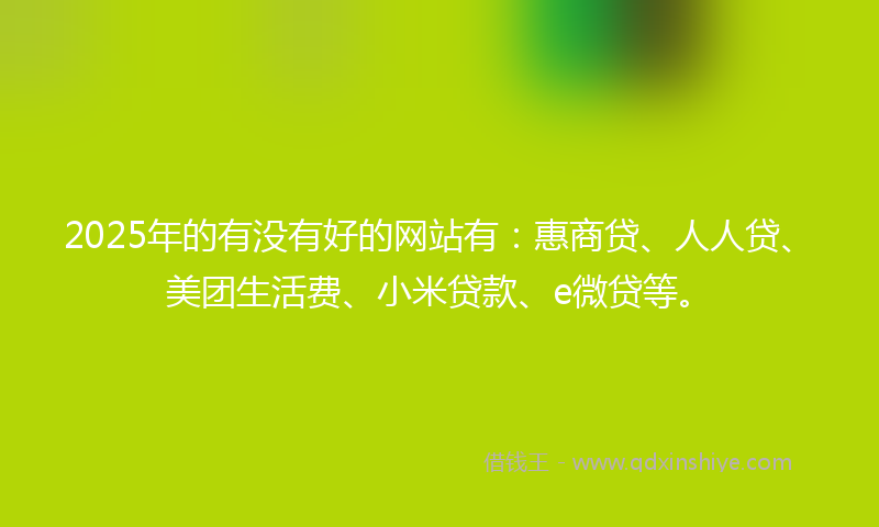2025年的有没有好的网站有：惠商贷、人人贷、美团生活费、小米贷款、e微贷等。