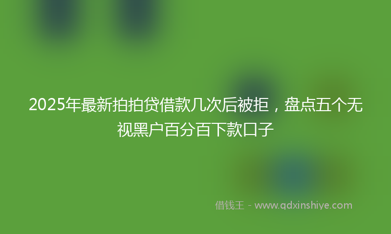 2025年最新拍拍贷借款几次后被拒，盘点五个无视黑户百分百下款口子