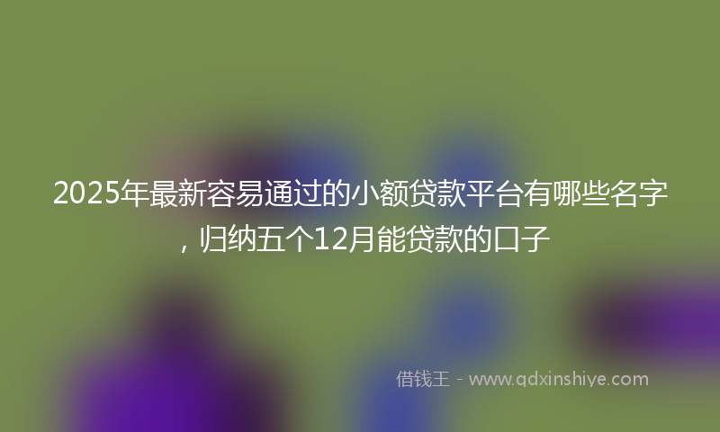 2025年最新容易通过的小额贷款平台有哪些名字，归纳五个12月能贷款的口子