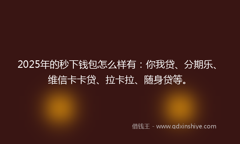 2025年的秒下钱包怎么样有：你我贷、分期乐、维信卡卡贷、拉卡拉、随身贷等。