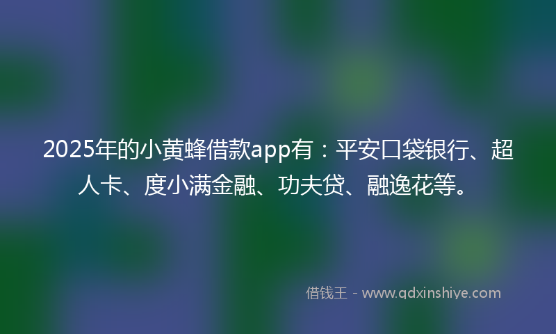 2025年的小黄蜂借款app有：平安口袋银行、超人卡、度小满金融、功夫贷、融逸花等。