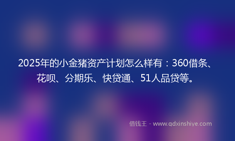 2025年的小金猪资产计划怎么样有：360借条、花呗、分期乐、快贷通、51人品贷等。