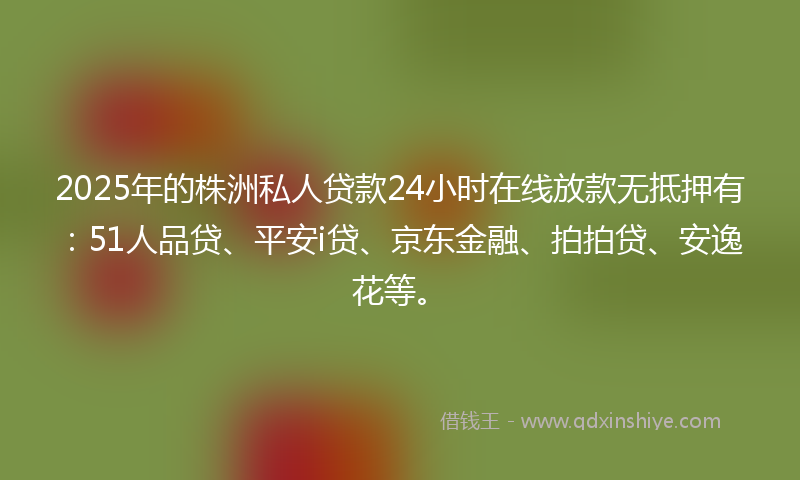 2025年的株洲私人贷款24小时在线放款无抵押有：51人品贷、平安i贷、京东金融、拍拍贷、安逸花等。