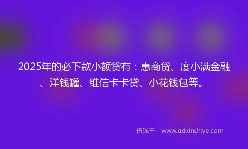 2025年的必下款小额贷有：惠商贷、度小满金融、洋钱罐、维信卡卡贷、小花钱包等。