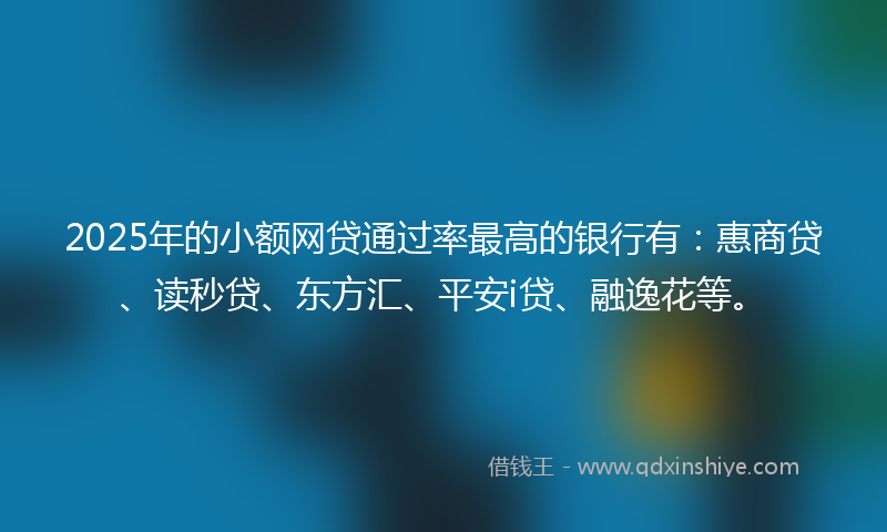 2025年的小额网贷通过率最高的银行有：惠商贷、读秒贷、东方汇、平安i贷、融逸花等。