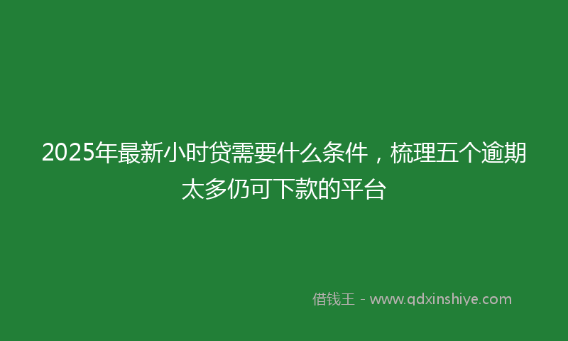 2025年最新小时贷需要什么条件，梳理五个逾期太多仍可下款的平台
