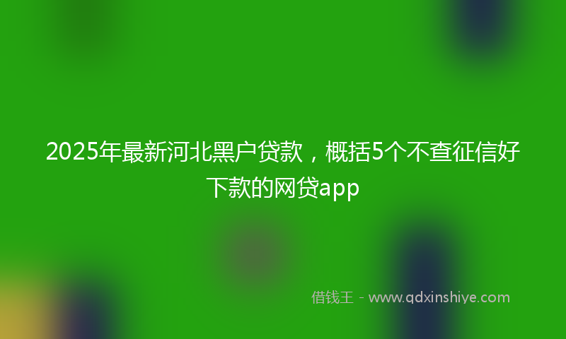 2025年最新河北黑户贷款，概括5个不查征信好下款的网贷app