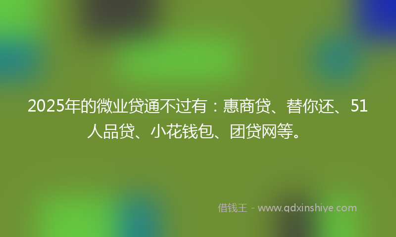 2025年的微业贷通不过有：惠商贷、替你还、51人品贷、小花钱包、团贷网等。