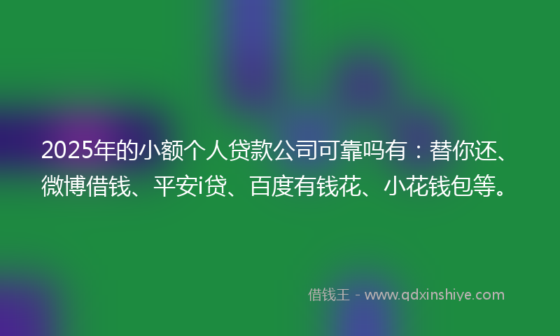 2025年的小额个人贷款公司可靠吗有：替你还、微博借钱、平安i贷、百度有钱花、小花钱包等。