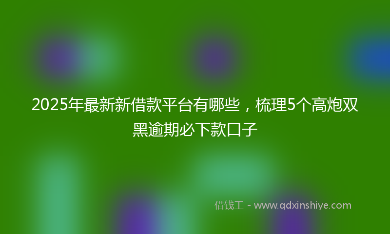 2025年最新新借款平台有哪些，梳理5个高炮双黑逾期必下款口子