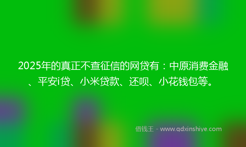 2025年的真正不查征信的网贷有：中原消费金融、平安i贷、小米贷款、还呗、小花钱包等。