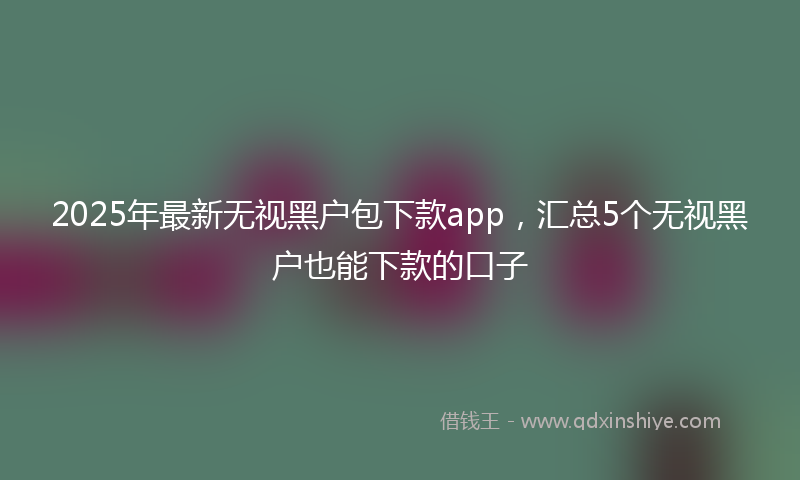 2025年最新无视黑户包下款app，汇总5个无视黑户也能下款的口子
