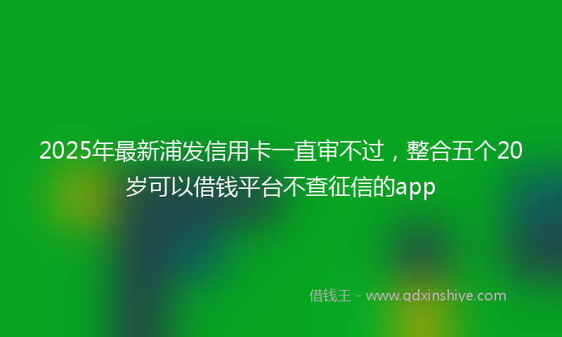2025年最新浦发信用卡一直审不过，整合五个20岁可以借钱平台不查征信的app